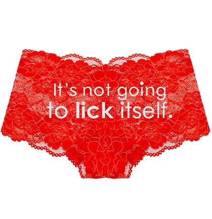 It's Not Going To Lick Itself Silver Glitter Lace Panty, Naughty  Bachelorette Panties